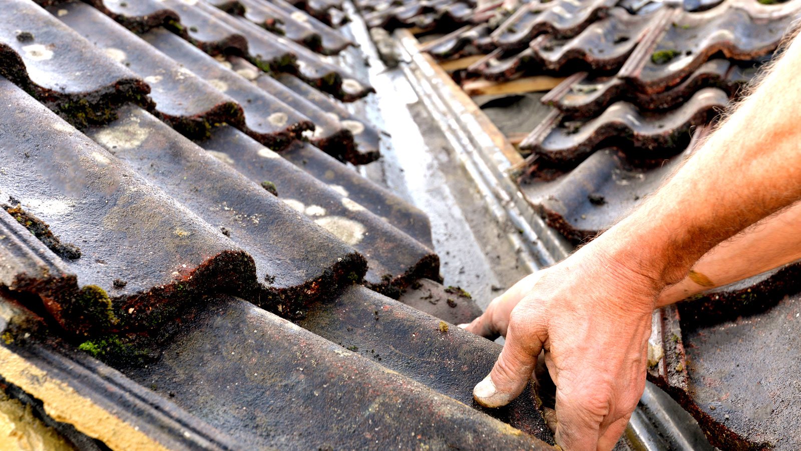 Roof Repairs — example photo 6
