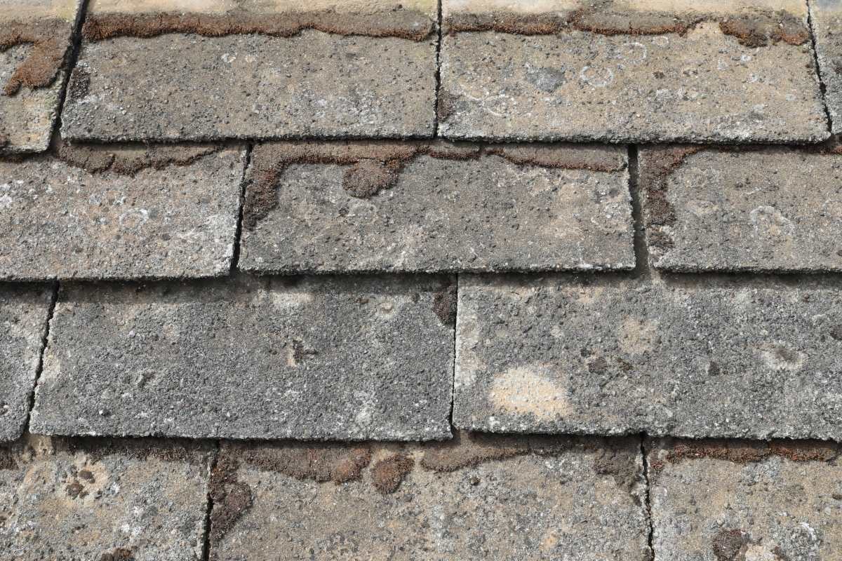 Roof Tiling & Slating — example photo 5